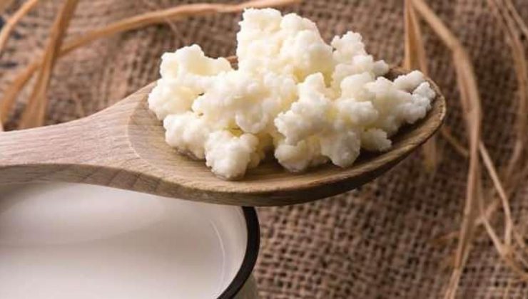 Gece yatmadan önce kefir içmek zayıflatır mı? Aç karnına kefir içmenin faydaları…