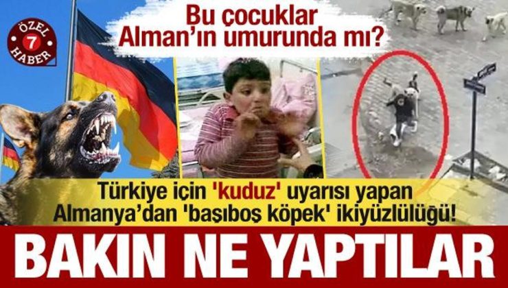 Türkiye için ‘kuduz’ uyarısı yapan Almanya’dan ‘köpek’ ikiyüzlülüğü! Bakın ne yaptılar