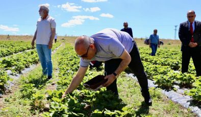 ‘Yetişmez’ denilen yerde 400 tonluk üretim! 16 milyon lira kazandı