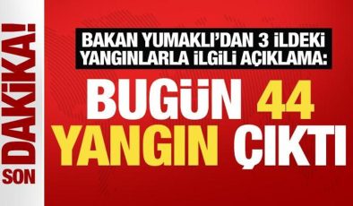 Bakan Yumaklı’dan 3 şehirdeki orman yangınlarına ilişkin önemli açıklamalar