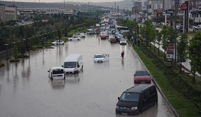 İklim değişikliğine bağlı afetler biyoçeşitliliği tehdit ediyor