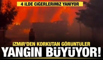 İzmir, Manisa, Balıkesir ve Kütahya’da orman yangını