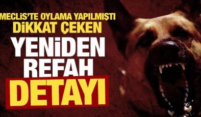 Meclis’teki sokak hayvanları oylamasında dikkat çeken Yeniden Refah Partisi detayı