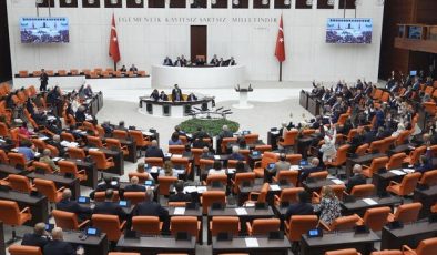 Sokak hayvanları düzenlemesinde ilk 5 madde TBMM Genel Kurulu’nda kabul edildi