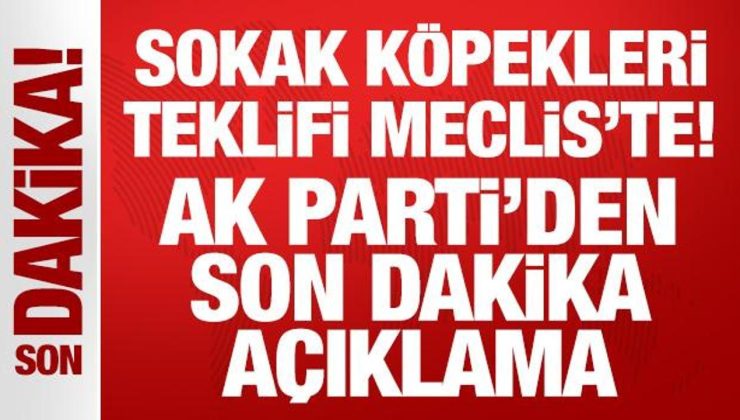 Sokak köpekleri düzenlemesi Meclis’te: AK Parti’den 17 maddelik teklif!