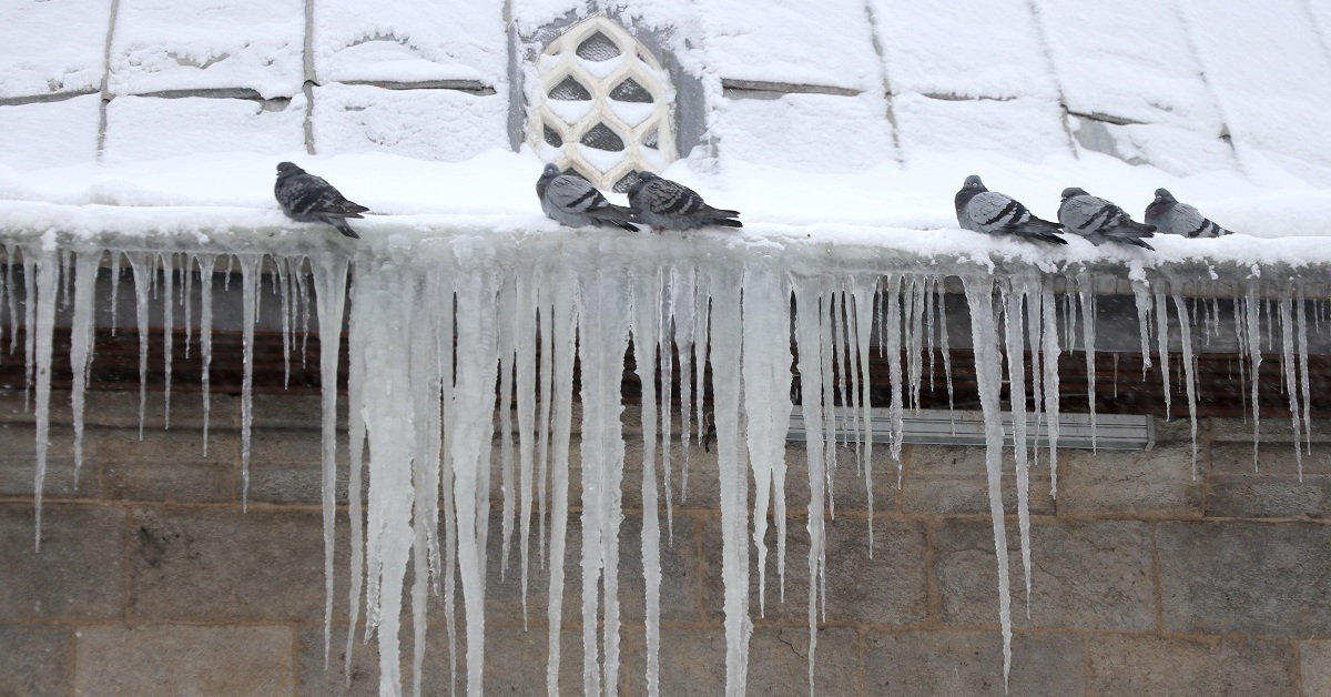 Havalar daha da soğuyacak! La Nina ile son 60 yılın en soğuk zamanları yaşanacak