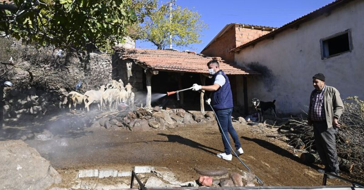 Manisa’da “Mavi Dil” hastalığıyla mücadele: Yunusemre’de mahalleler ilaçlandı